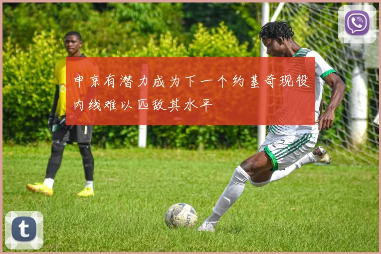 申京有潜力成为下一个约基奇现役内线难以匹敌其水平